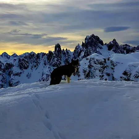 Lejlighed Daniela Dolomiti. Auronzo di Cadore